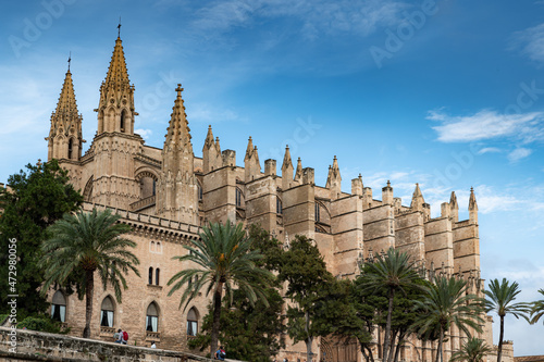 Cathedral view with old buildings during day in Spain  Balear Islands  Mallorca