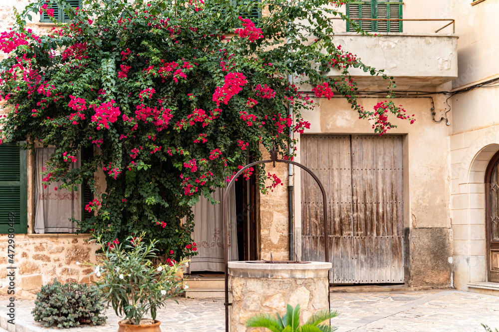 Old town with roses and sandstone walls