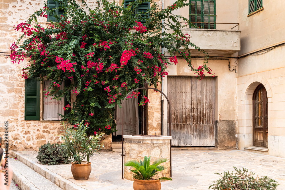 Old town with roses and sandstone walls