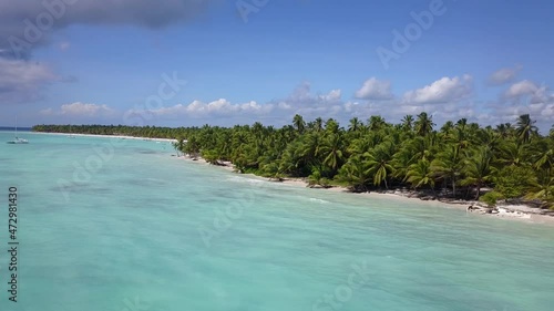 Palm trees on the beach of Isla Saona. Dominican Republic photo