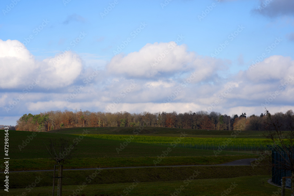 Fototapeta premium Beautiful scenic winter landscape near the airport with agricultural field cloudy sky and forest in the background. Photo taken December 3rd, 2021, Zurich, Switzerland.