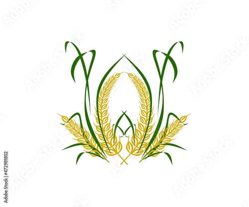 rice plant element vector, agricultural brand icon