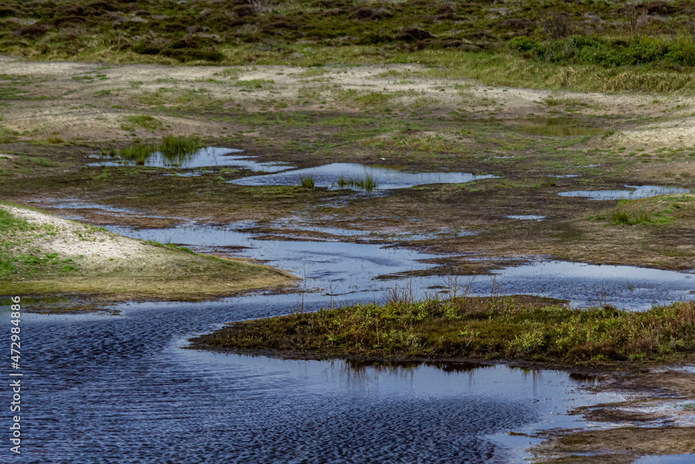 Wild nature on island of Texel, Netherlands