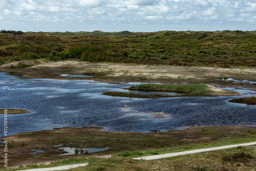 Wild nature on island of Texel, Netherlands Wild nature on island of Texel, Netherlands