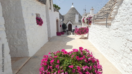 Fototapeta Naklejka Na Ścianę i Meble -  Alberobello is a city in Puglia, Italy. It is known for the Trulli, white conical stone buildings, present by the hundreds in the hilly district of Rione Monti.