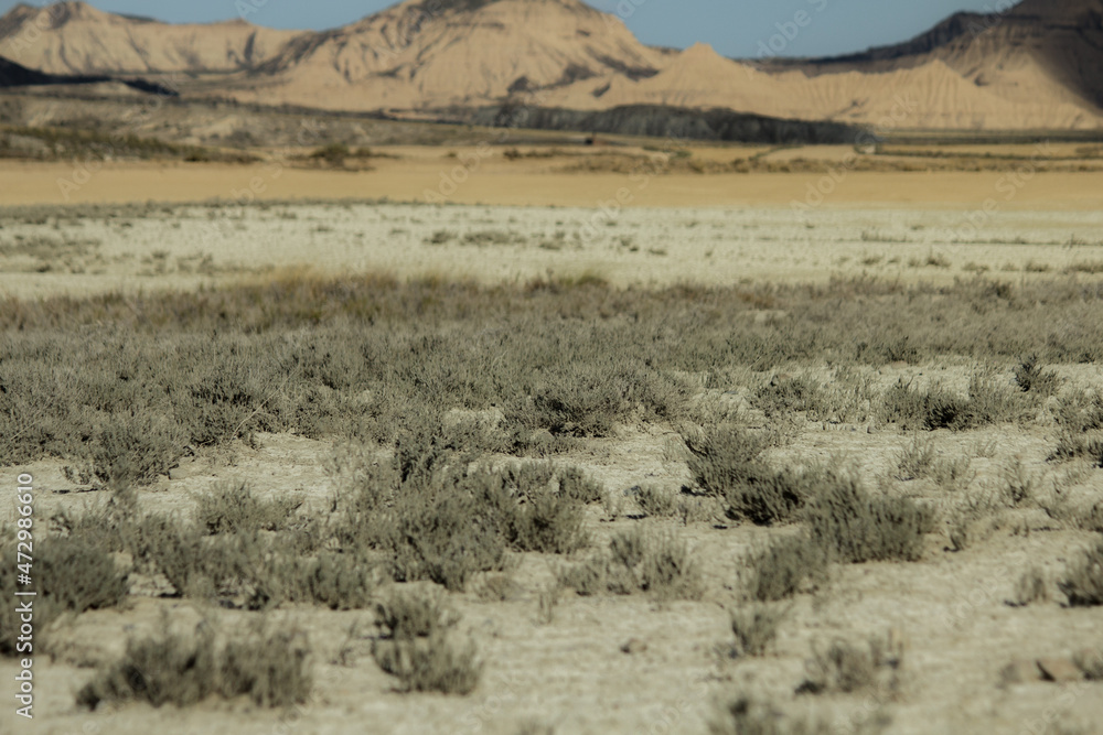 Desert area in hot summer day with dry vegetation in Bardenas Reales de Navarra, Spain