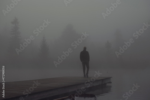 Nebel an einem See mit gedrückter Stimmung