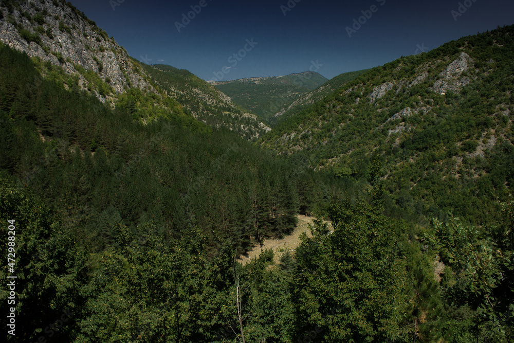 Fototapeta premium Summer day in nature with greenery, fresh air, in Tuhovishta, Bulgaria