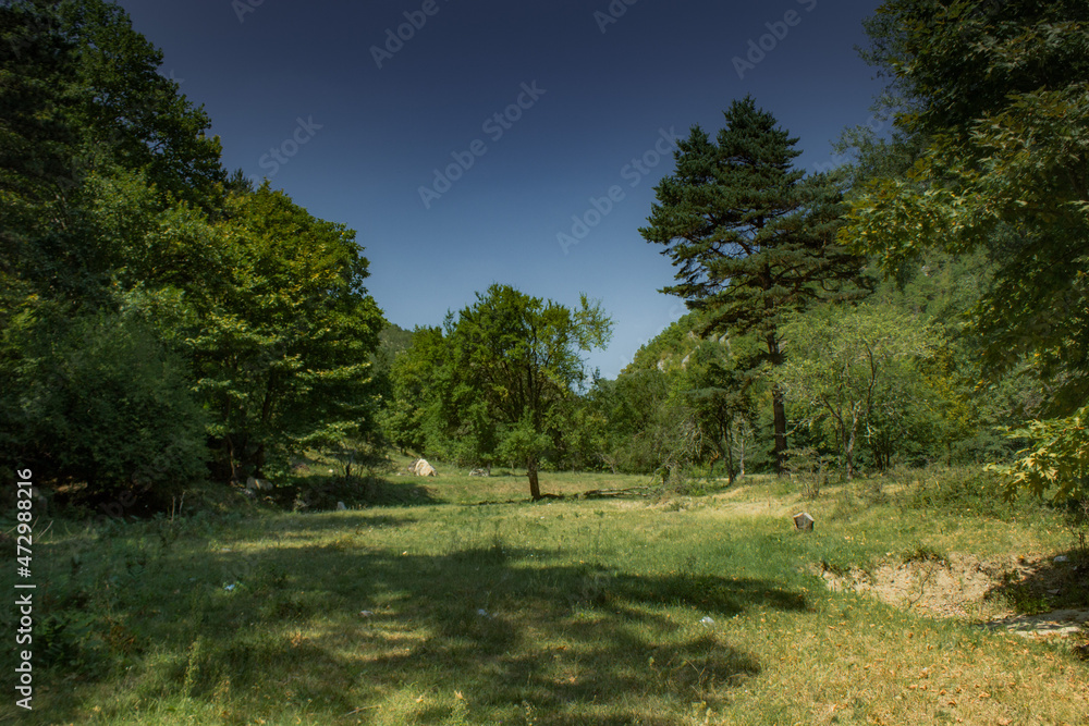 Summer day in nature with greenery, fresh air, in Tuhovishta, Bulgaria