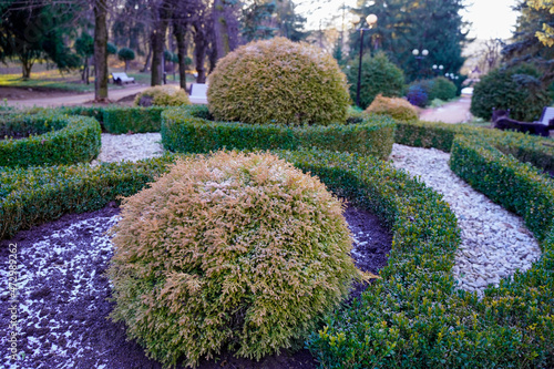 Landscape design in the park in winter