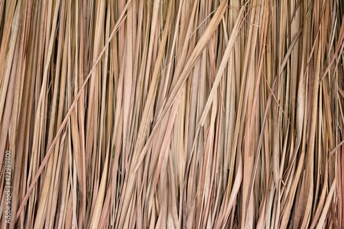 Thatch roof background, hay or dry Blady grass background.