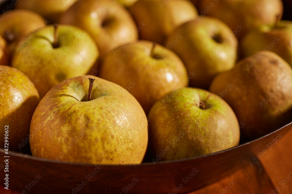 Hudson's Golden Gems, an American Heirloom apple variety. These were grown in Lancaster County, Pennsylvania, USA Hudson's Golden Gems, an American Heirloom apple variety. These were grown in Lancaster County, Pennsylvania, USA