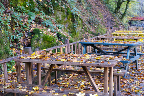 Lots of colorful leaves on the picnic tables, autumn, loneliness theme photo