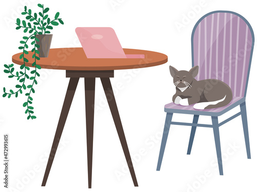 Table with laptop and cat on chair in interior of workplace. Modern workplace with furniture and kitten sitting on chair. Arrangement of furniture at place for working with technology at home