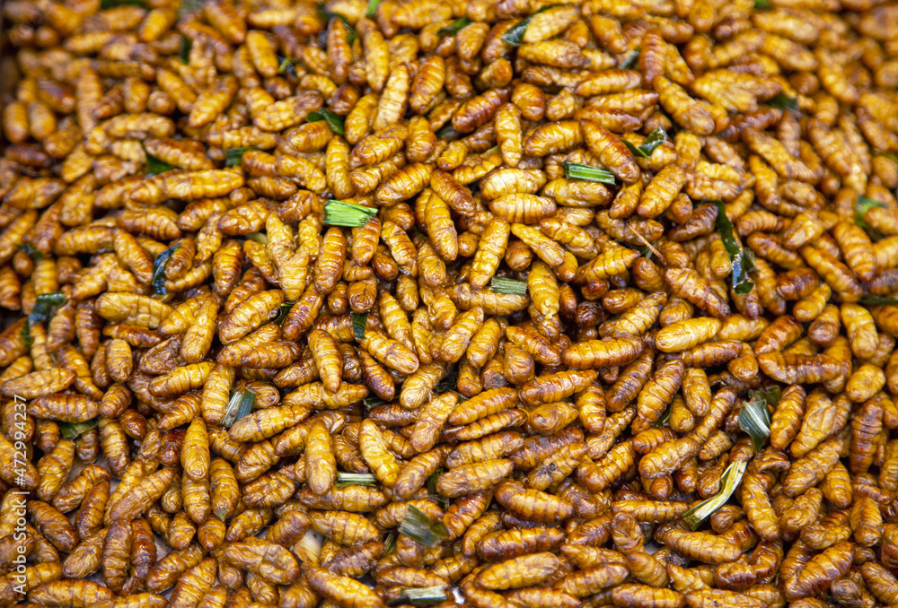 fry worm with vegetable in thai snack street food fry worm with vegetable in thai snack street food