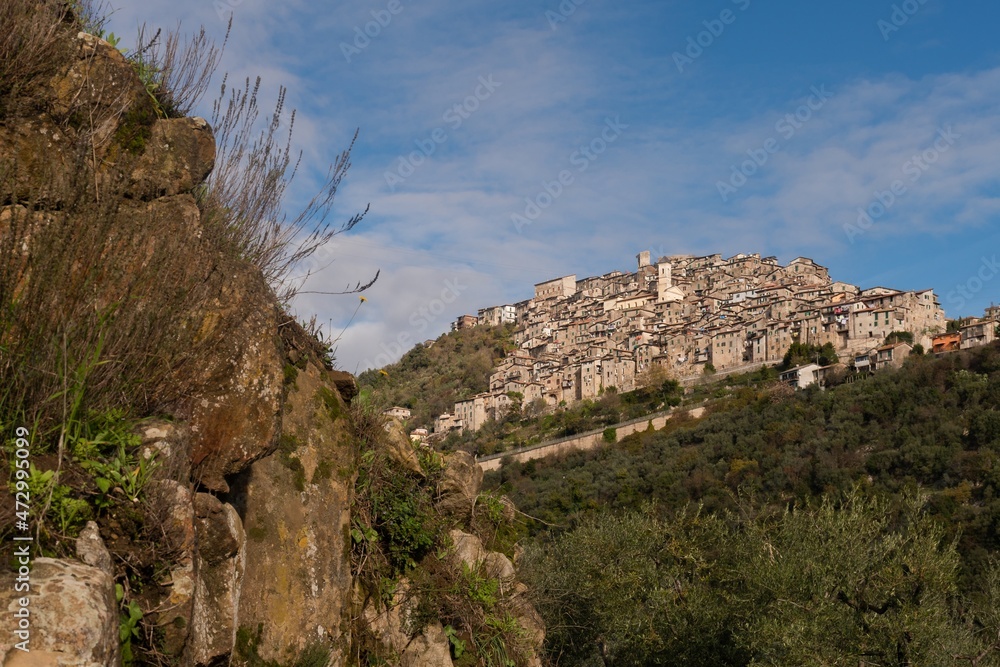 Veduta di Olevano Romano - Roma - Lazio - Italia Veduta di Olevano Romano - Roma - Lazio - Italia