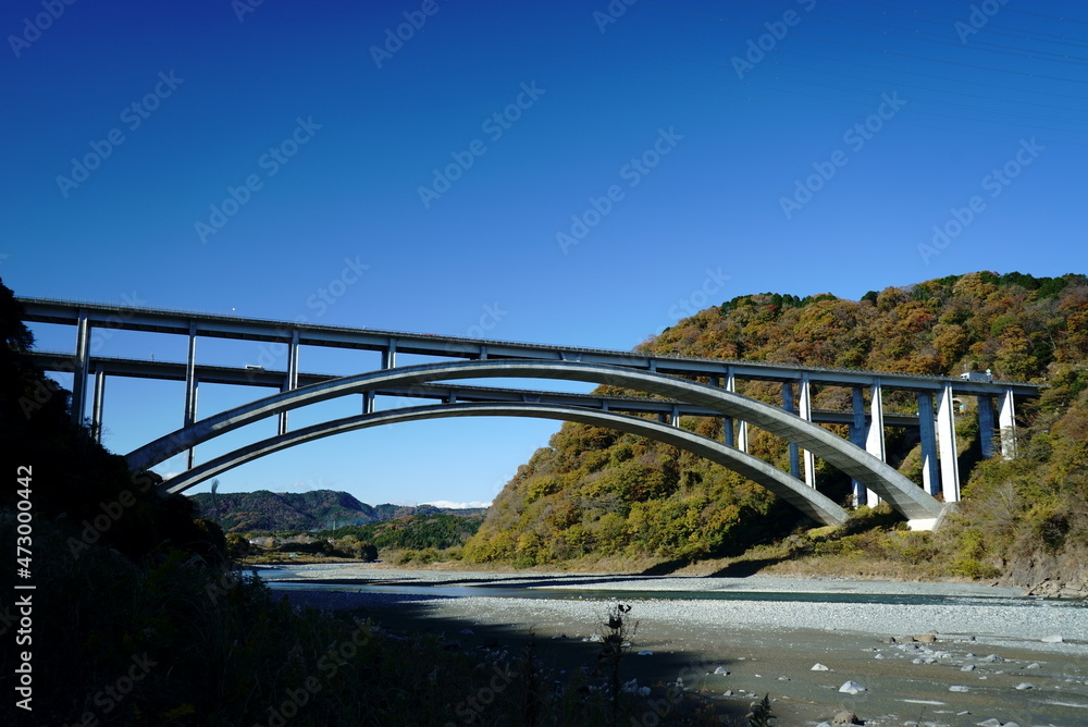 Fototapeta premium The leaves change color in autumn