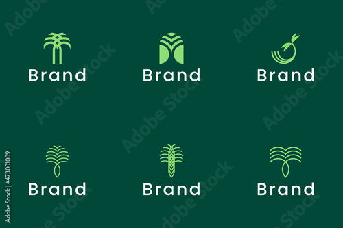 Set of Luxury Palm Logo Template Vector
