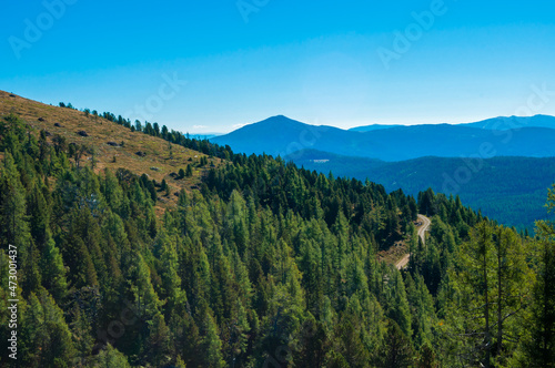 Bergige Landschaft in Österreich. Blick von einem hochgelegenen Punkt auf eine Gebirgskette. Sonniger Herbsttag