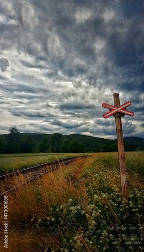 railway in the nature