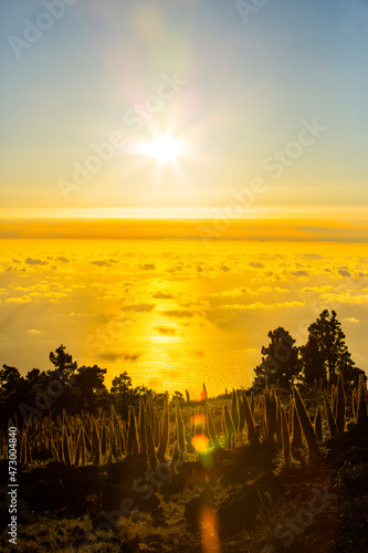 Sunset between Tajinastes in Caldera De Taburiente Nature Park, La Palma Island, Canary Islands, Spain photo