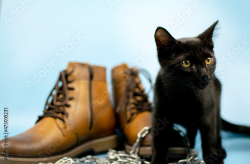 A black cat sits to the right of a pair of new boots against a blue background. Fashionable concept.