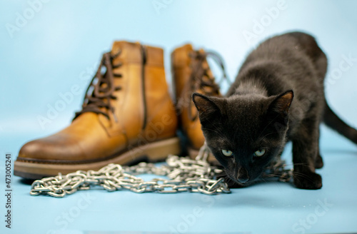A black cat sits to the right of a pair of new boots against a blue background. Fashionable concept.