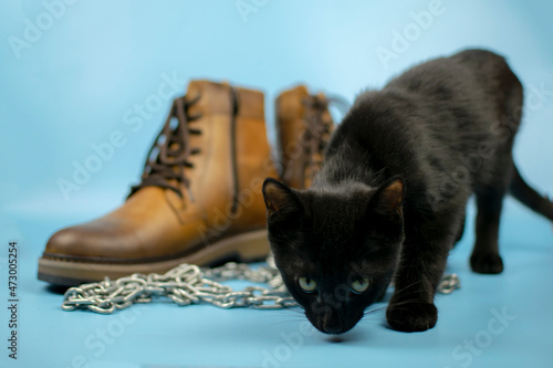 A black cat sits to the right of a pair of new boots against a blue background. Fashionable concept.