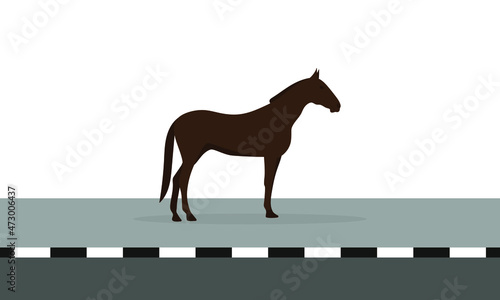 Horse stands on the sidewalk on a white background