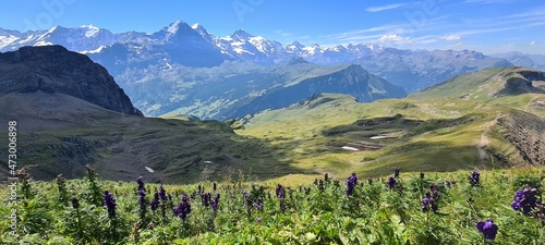 Mountain panorama during a hike in Grindelwald in Berner Oberland, Switzerland