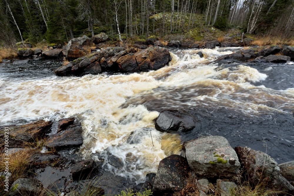 Fishing on wild forest lakes and rivers, nature. Fishing on wild forest lakes and rivers, nature.