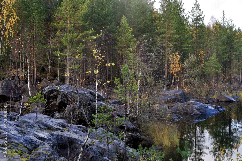 Fishing on wild forest lakes and rivers, nature. Fishing on wild forest lakes and rivers, nature.