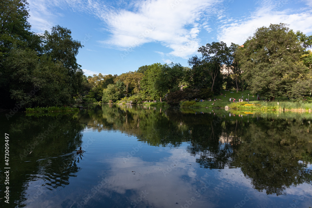 Central Park Pond with a Reflection during the Summer in New York City Central Park Pond with a Reflection during the Summer in New York City