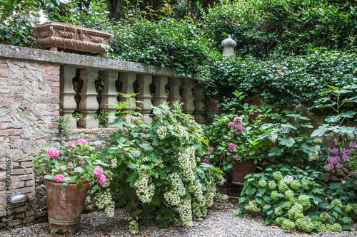 Fotografie Typical Tuscan villages with their stone houses and green shutters and their flo