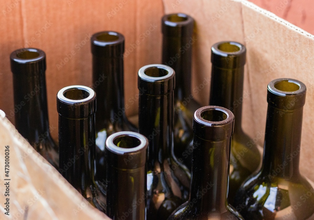 Empty olive colored wine bottles in a cardboard box waiting to be bottled
