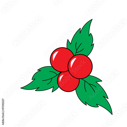 California holly or Christmas berries on white background