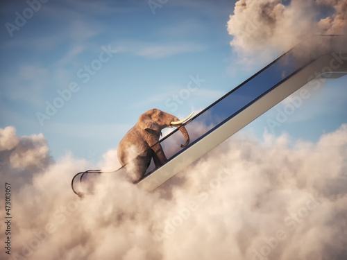 Elephant on escalator above clouds.