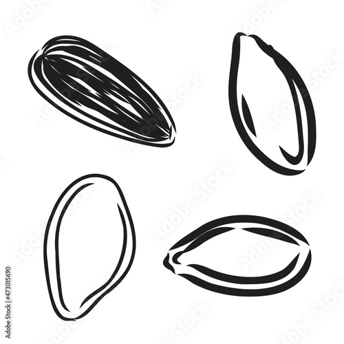 Sunflower seed isolated on white background. Hand drawn sketch. Vector illustration.