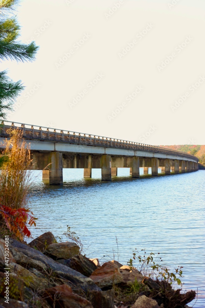 Fototapeta premium Bridge over Lake 