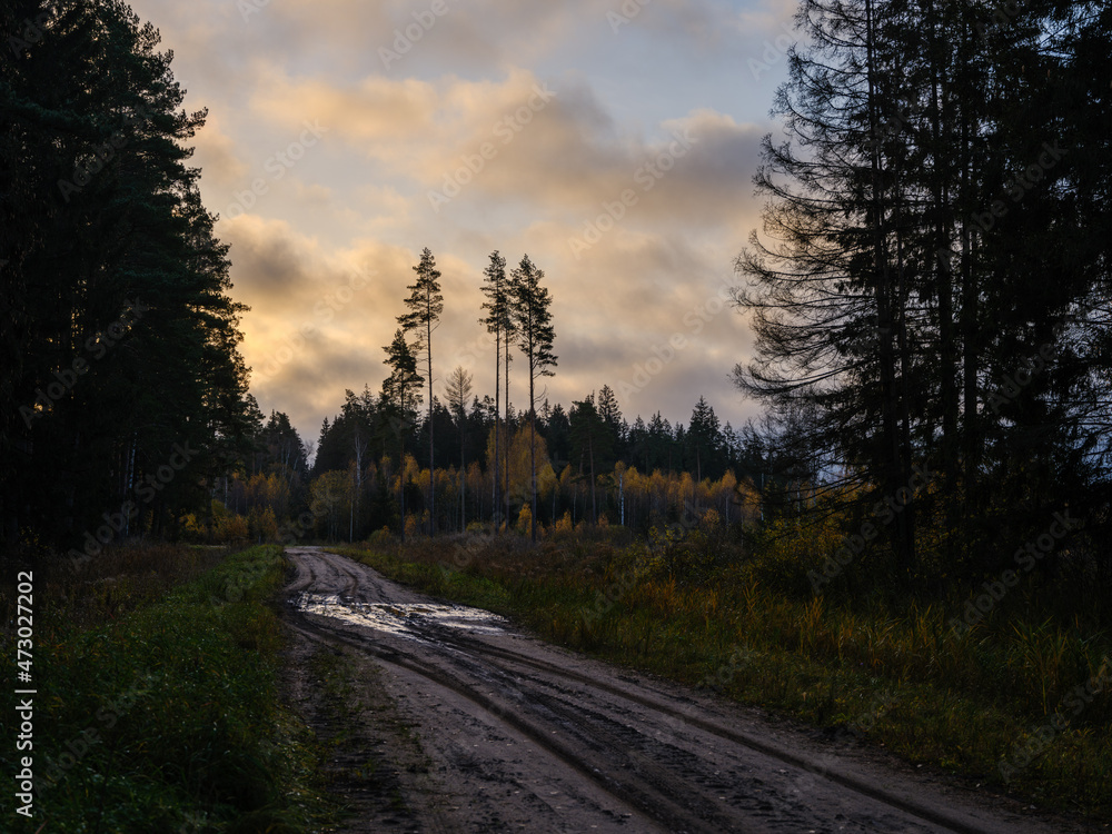Naklejka premium wet gravel road with water in countryside