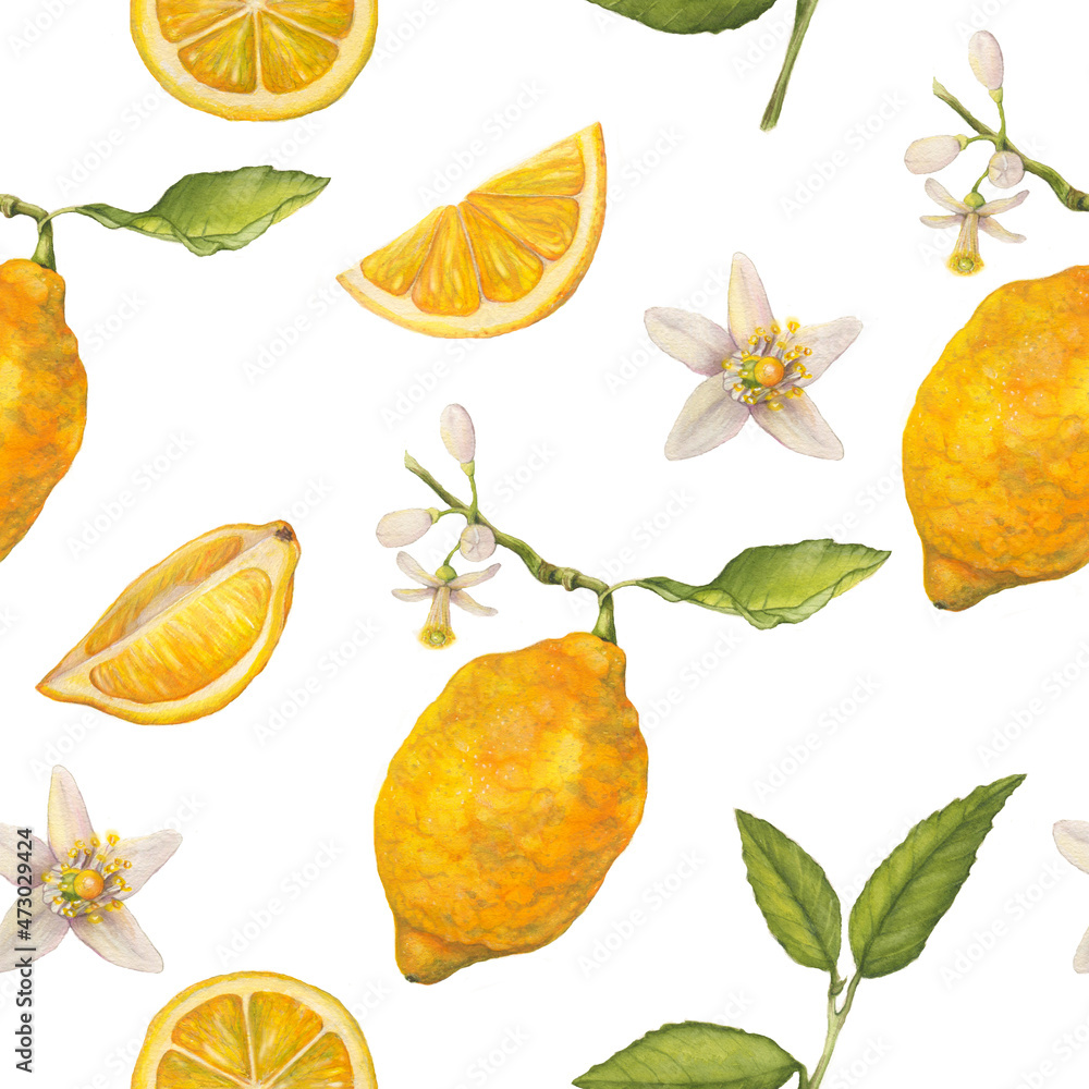 Lemons watercolor seamless pattern. Botanical wallpaper Lemons watercolor seamless pattern. Botanical wallpaper
