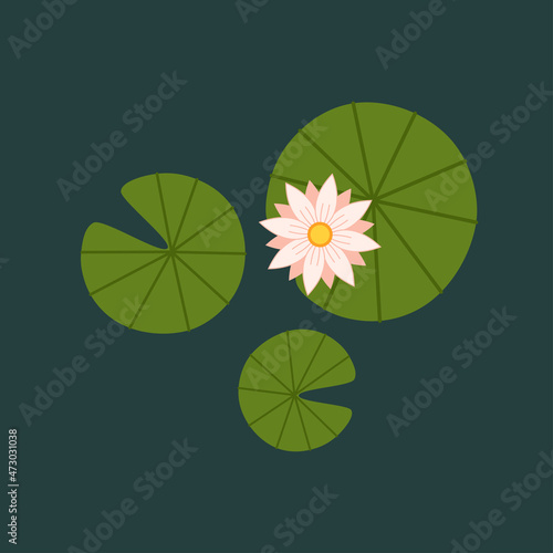 Lily pad and Lotus vector. wallpaper. free space for text. background. poster. lotus flower.