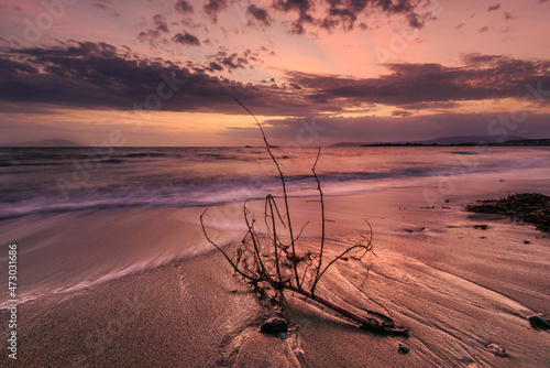 The twig on the shore and the red sky