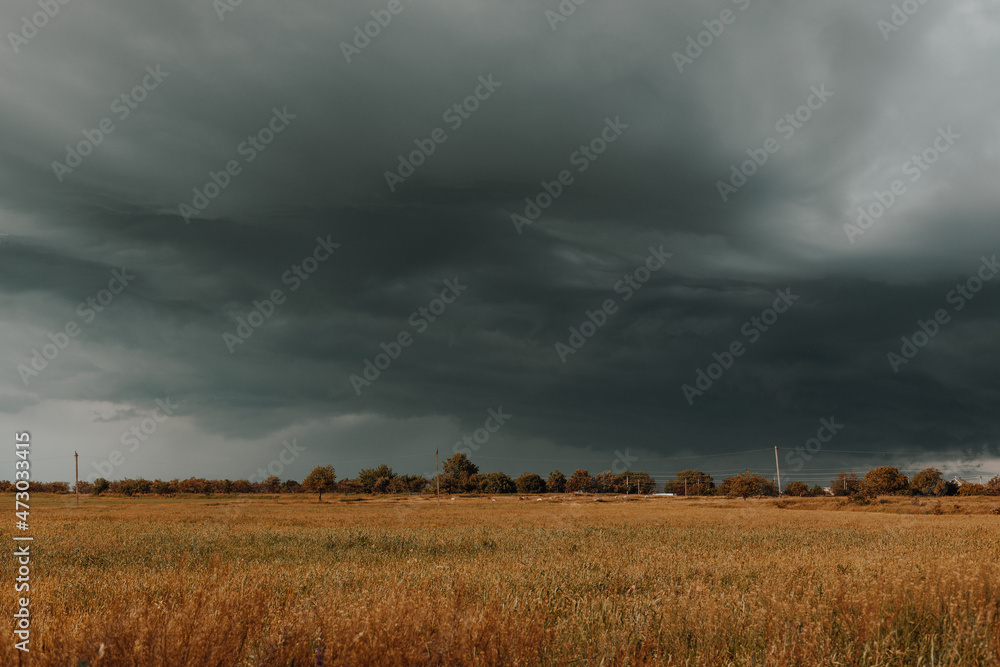 Scenic landscape with trees in the hills against clouds Scenic landscape with trees in the hills against clouds