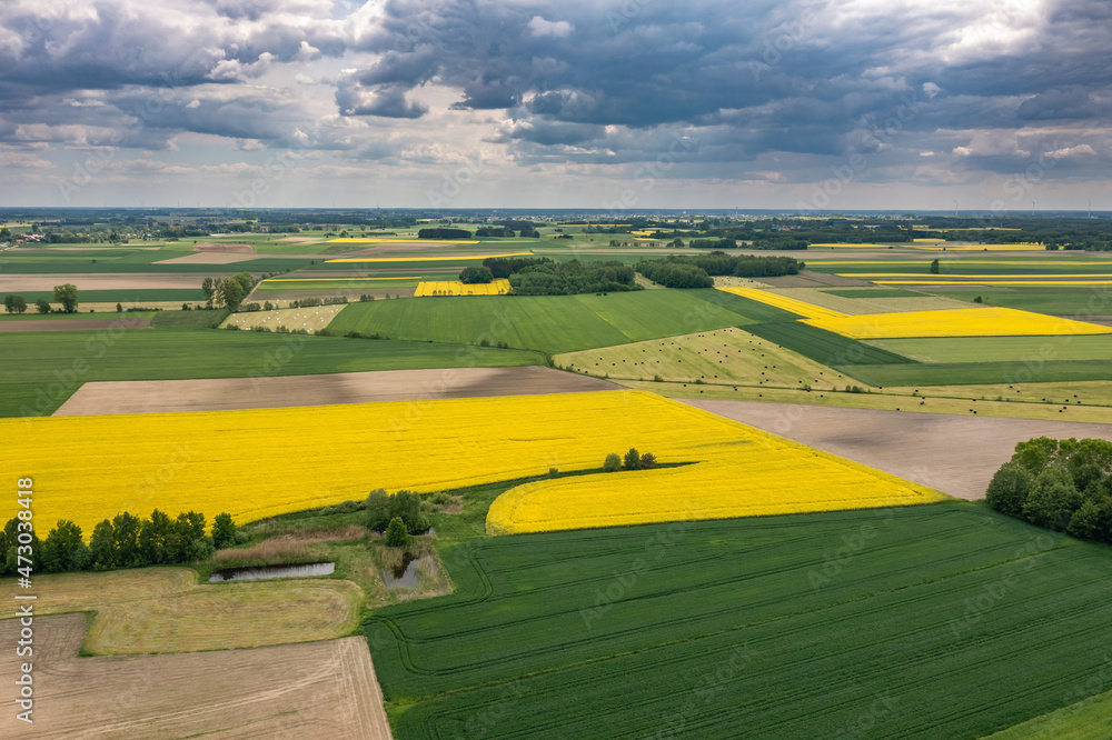 Agricultural landscape, fields of yellow colza and green grain under moody cloudy sky aerial view