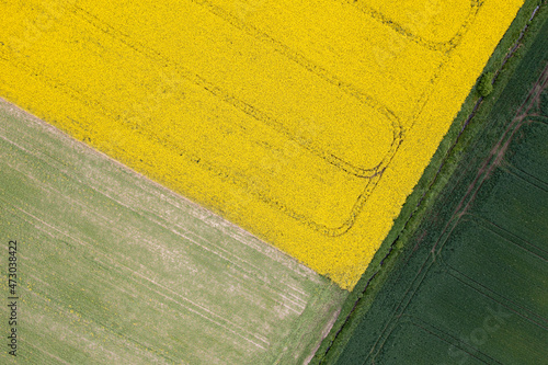 Aerial top down view of fields of green grain, yellow colza flowers and ploughed soil