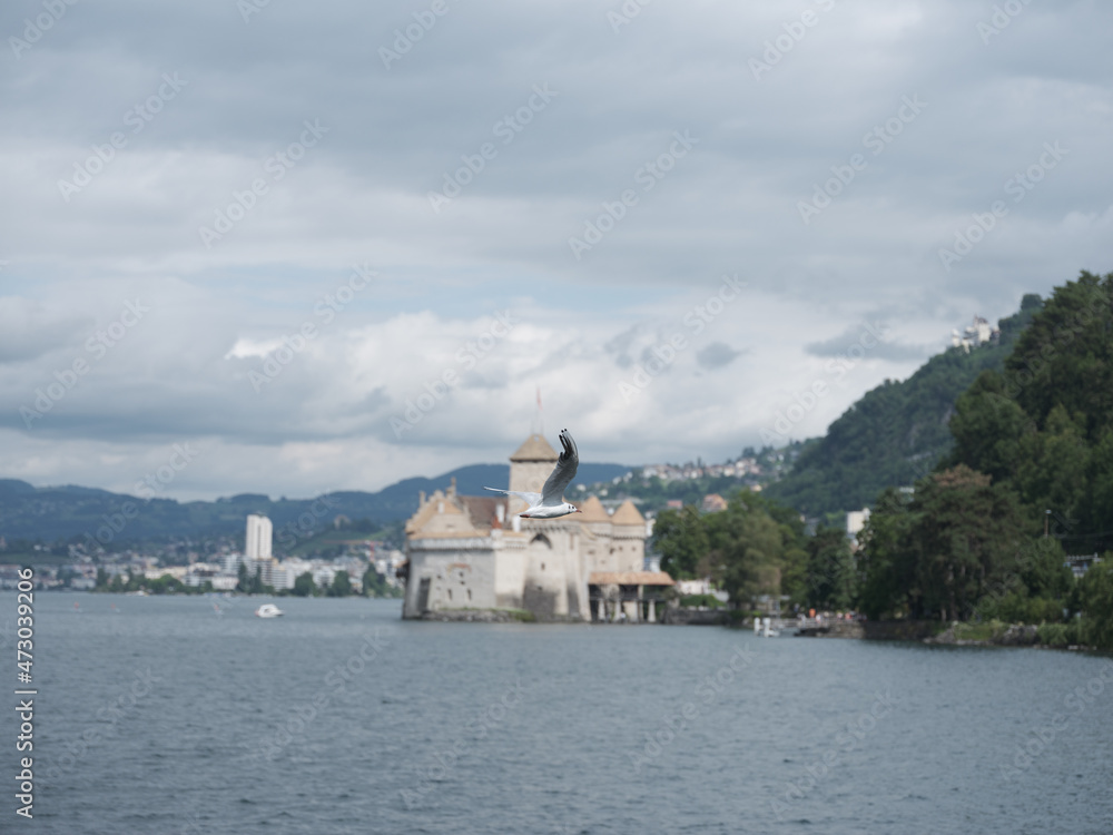 Schloss am See