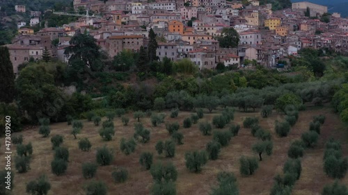 Flying over olive groves and the old town of Cori, Latina province in southern Latium, Italy (Aerial 4K)