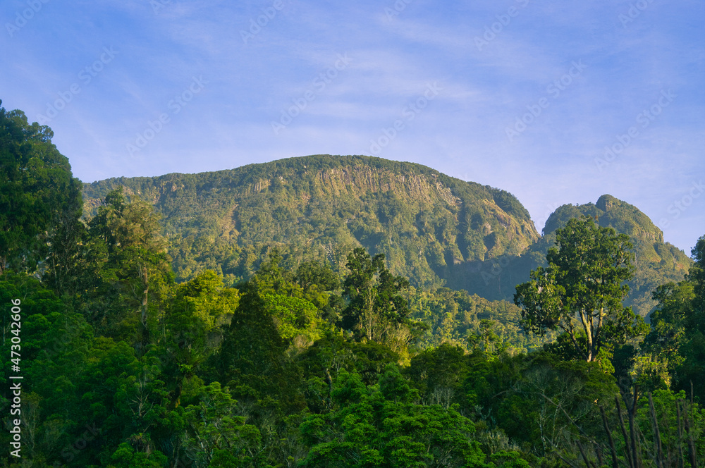 
The rugged landscape of Coromandel, North Island, New Zealand, above the valley of the Kauaeranga.
