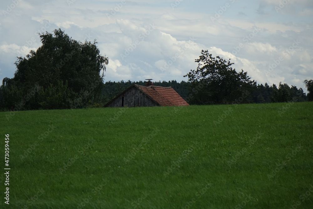 Meadow and wooden barn in the Franconian summer landscape around Aufseß, city with the most breweries per capita worldwide, Aufseß, Upper Franconia, Bavaria, Germany
